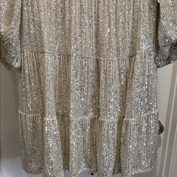 NWT Eliza J Silver Sequin Balloon Sleeve Skater Dress Size 8 New Years Party - Picture 7 of 15
